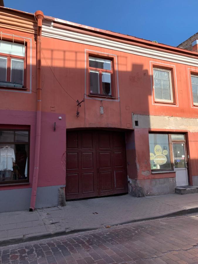 Old Studio Apartment Вилнюс Екстериор снимка